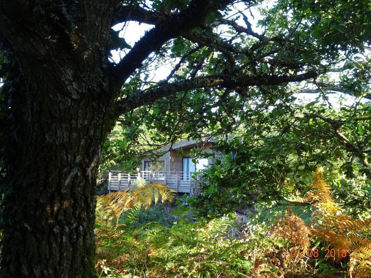 La Carri'Air Villa Pont-Aven Exteriör bild